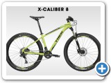 X-Caliber 8